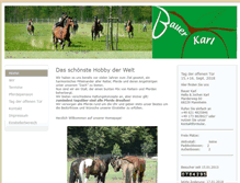 Tablet Screenshot of bauerkarl.de